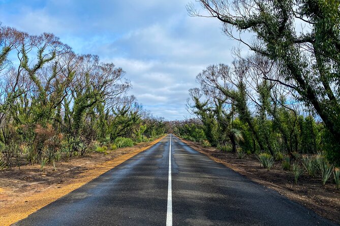 2 day Ultimate Kangaroo Island with return ferry - Clifford’s Honey Farm and Ligurian bees