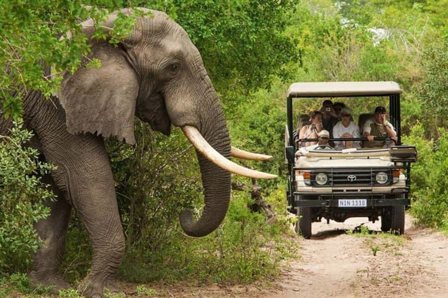3 DAYS, 2 NIGHTS SAFARI FROM ZANZIBAR TO MIKUMI BY FERRY. - Key things to know before booking
