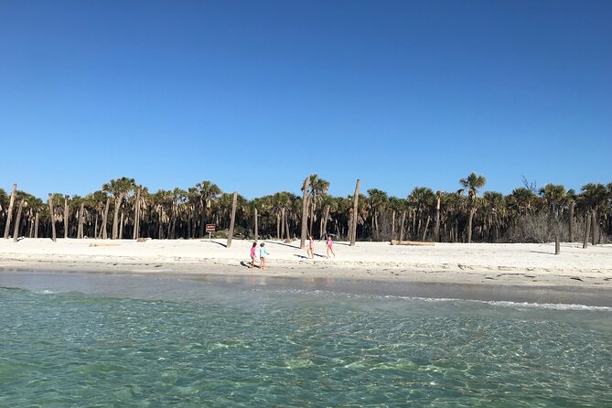 4-Hour St. Pete Pier to Egmont Key Experience by Ferry - From St. Pete Pier to open water