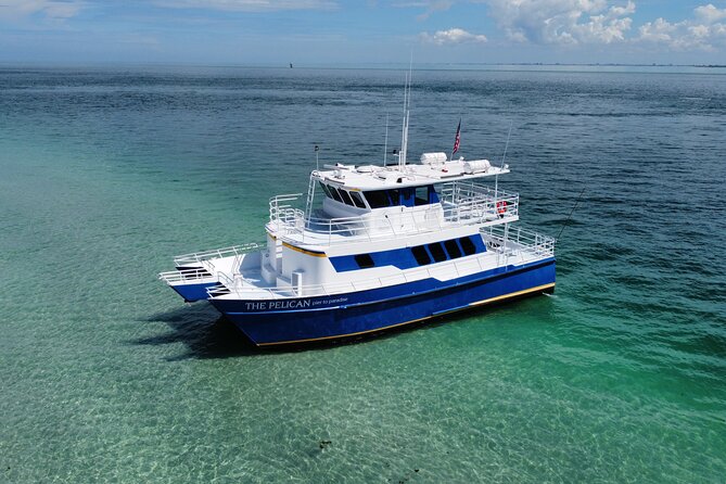 4-Hour St. Pete Pier to Egmont Key Experience by Ferry - Snorkeling, swimming, and wildlife