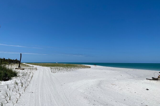 4-Hour St. Pete Pier to Egmont Key Experience by Ferry - Is the $66.67 price good value?