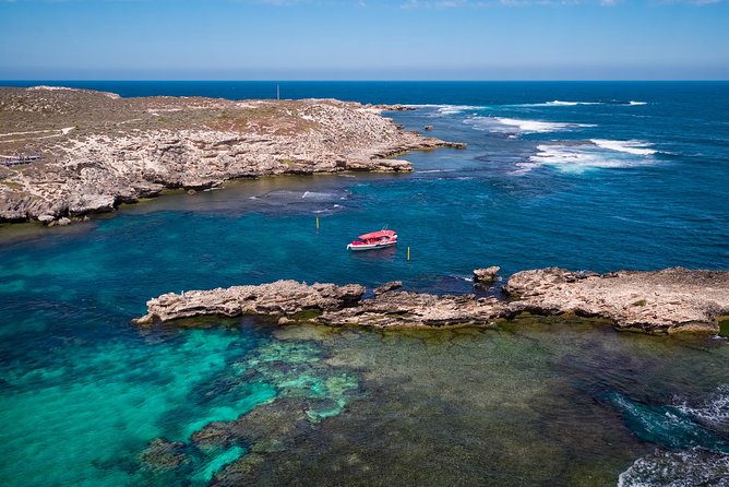 Adventure Rottnest Tour with Ferry & Adventure Cruise - Key points to know before you book