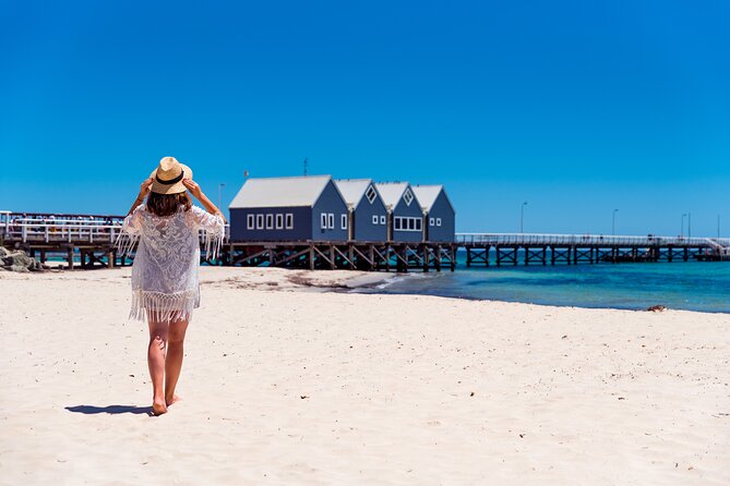 Adventure Rottnest Tour with Ferry & Adventure Cruise - How to spend your free afternoon