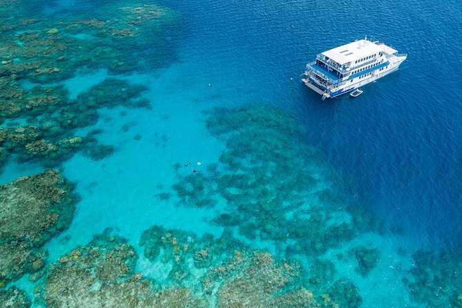 Afternoon Fitzroy Island Escape – Return Ferry Included - Snorkeling without losing the whole afternoon