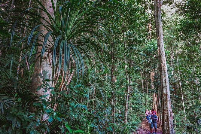 Afternoon Fitzroy Island Escape – Return Ferry Included - The Summit Track and making three hours count