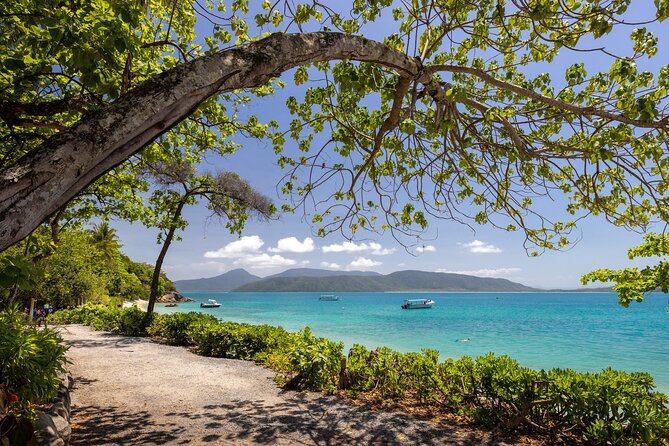 Afternoon Fitzroy Island Escape – Return Ferry Included - Food, drinks, and the Foxy option