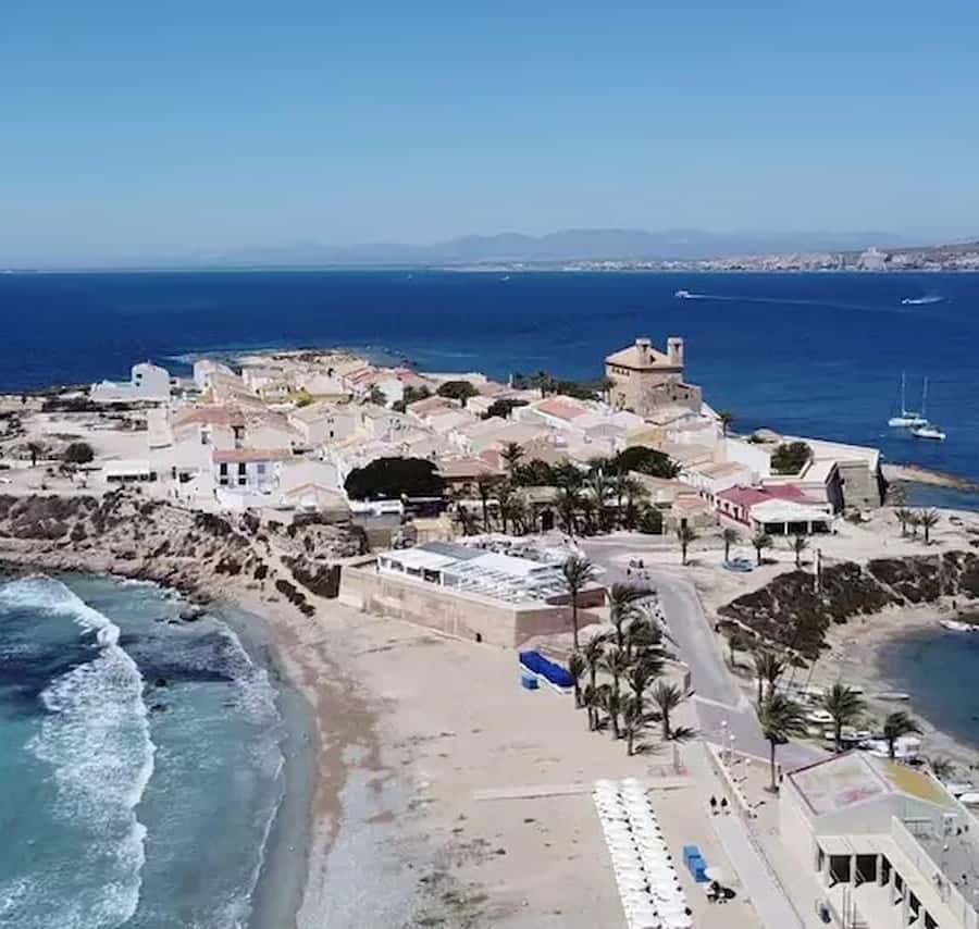 Alicante/Torrevieja: Excursion to Tabarca by ferry, Santa Pola, and Laguna Rosa - Key points to know before booking
