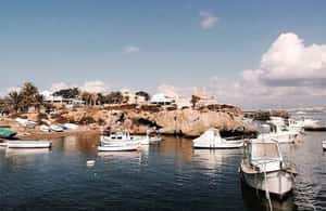 Alicante/Torrevieja: Excursion to Tabarca by ferry, Santa Pola, and Laguna Rosa - Returning through Santa Pola’s Roman port