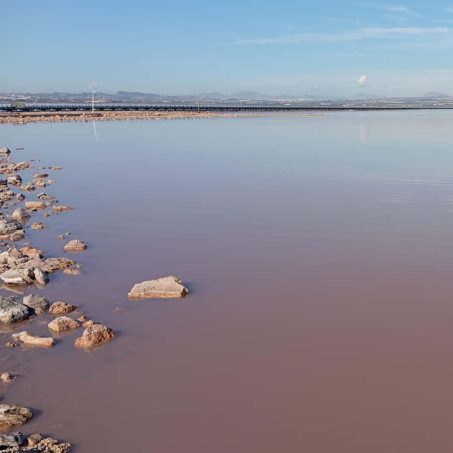 Alicante/Torrevieja: Excursion to Tabarca by ferry, Santa Pola, and Laguna Rosa - Should you book the Alicante to Tabarca day trip?