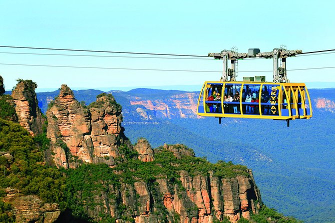 All Inclusive Blue Mountain,Scenic World,Lunch,Koalas,ferry - Five things to know before you book