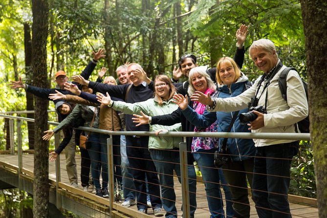 All Inclusive Blue Mountain,Scenic World,Lunch,Koalas,ferry - The Three Sisters: a quick but important first stop