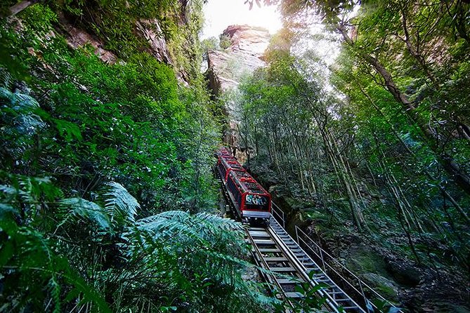 All Inclusive Blue Mountain,Scenic World,Lunch,Koalas,ferry - Lookouts, Jamison Valley, and mountain weather