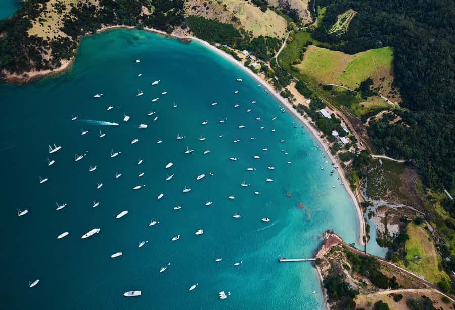 Auckland: Man O' War Vineyard Ferry (Waiheke Island) - Why this Waiheke ferry trip feels different