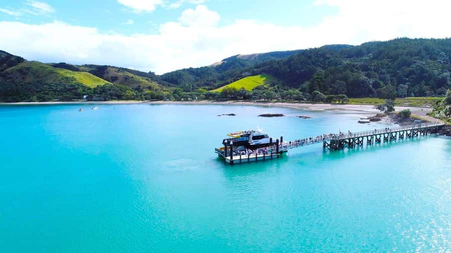 Auckland: Man O' War Vineyard Ferry (Waiheke Island) - The 90-minute cruise through the eastern Hauraki Gulf
