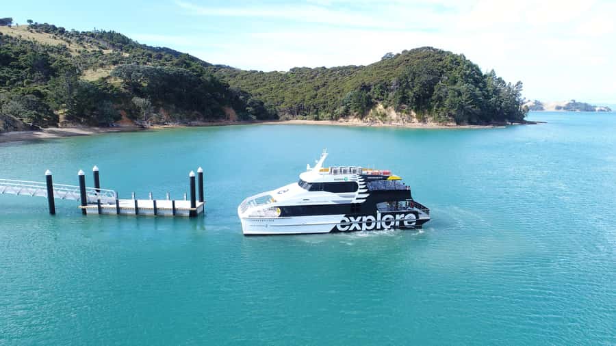 Auckland: Man O' War Vineyard Ferry (Waiheke Island) - Should you book the Man O War ferry?