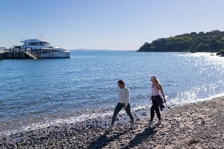 Auckland: Tiritiri Matangi Island Ferry - Walking tracks, birds, and the island’s quiet rhythm