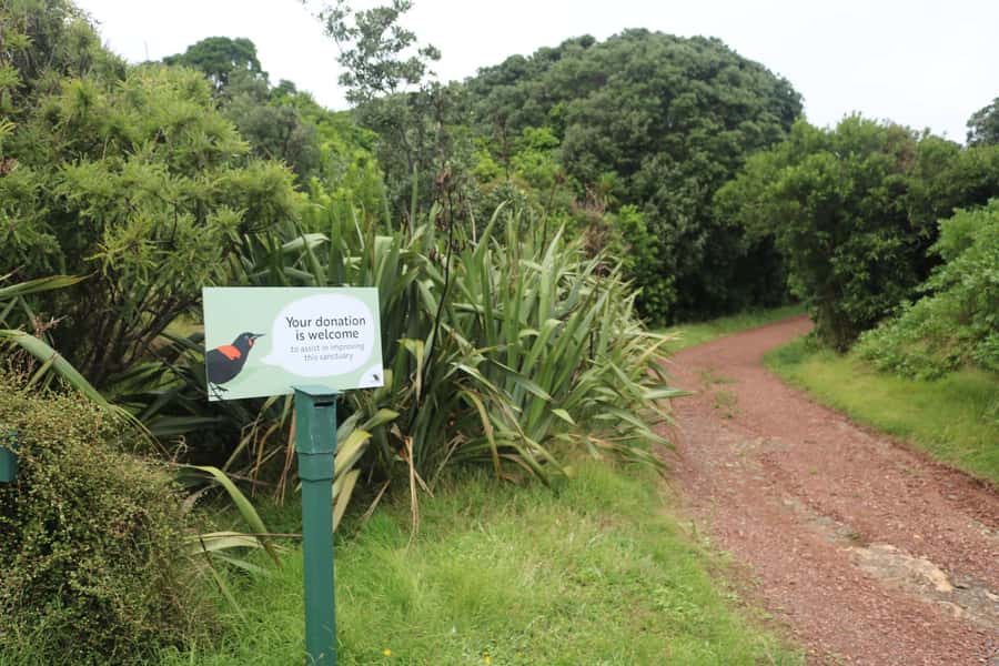Auckland: Tiritiri Matangi Island Ferry - Is $65 good value?