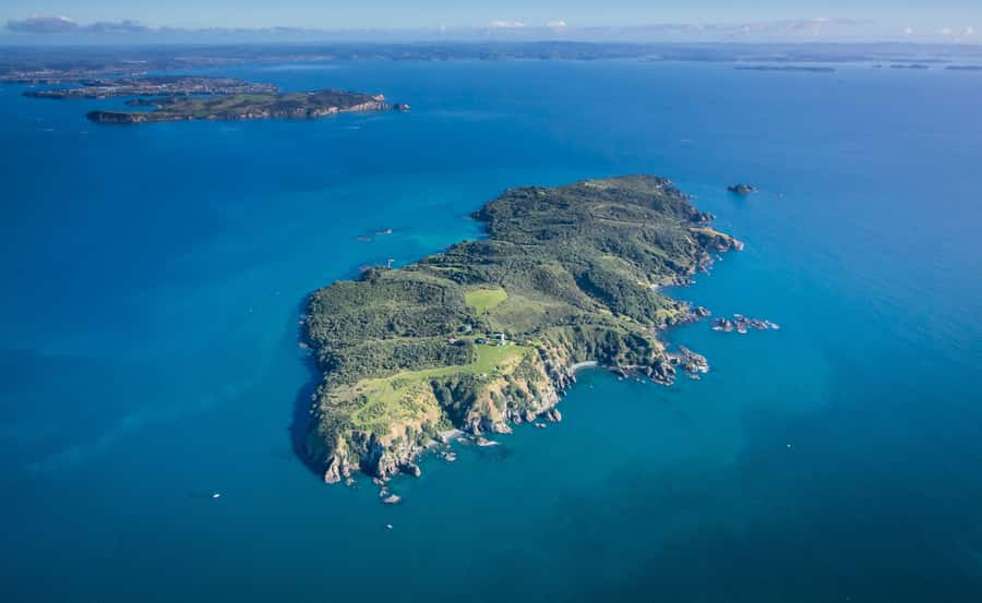 Auckland: Tiritiri Matangi Island Ferry - First steps on a pest-free island