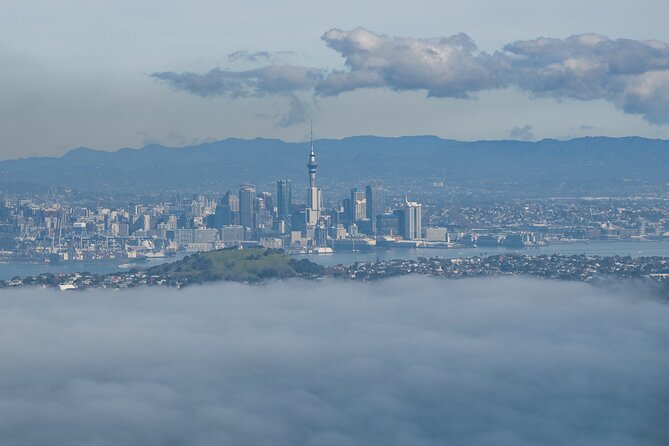 Auckland to Rangitoto Island Ferry - The summit walk and its 350 stairs