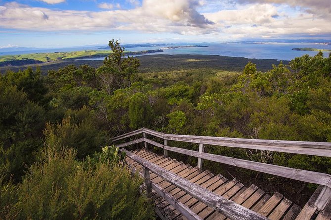 Auckland to Rangitoto Island Ferry - First impressions at Rangitoto Wharf