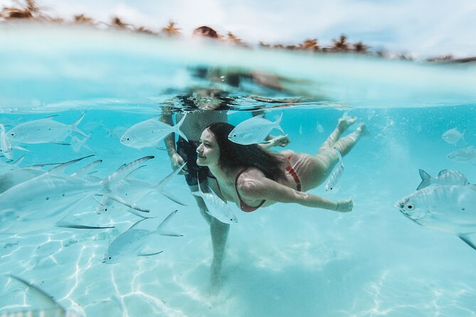 Bimini or Grand Bahama Island by Ferry - What the ferry ride is really like