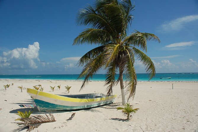 Bimini or Grand Bahama Island by Ferry - Bimini Road, Alice Town, and the Big Game Club