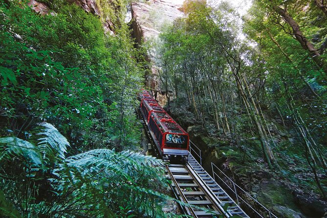 Blue Mountains Adventure w Scenic World, Zoo, Koala Photo & Ferry - The essential details at a glance