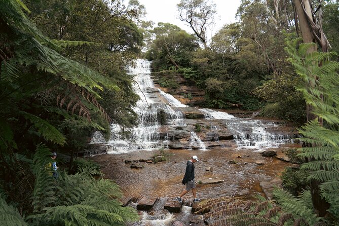 Blue Mountains Adventure w Scenic World, Zoo, Koala Photo & Ferry - Why this tour works for a first Sydney visit