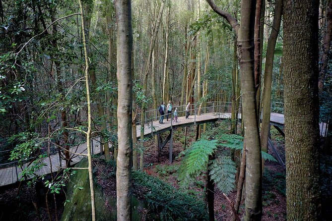 Blue Mountains Adventure w Scenic World, Zoo, Koala Photo & Ferry - The 6:40 a.m. start and the ride west