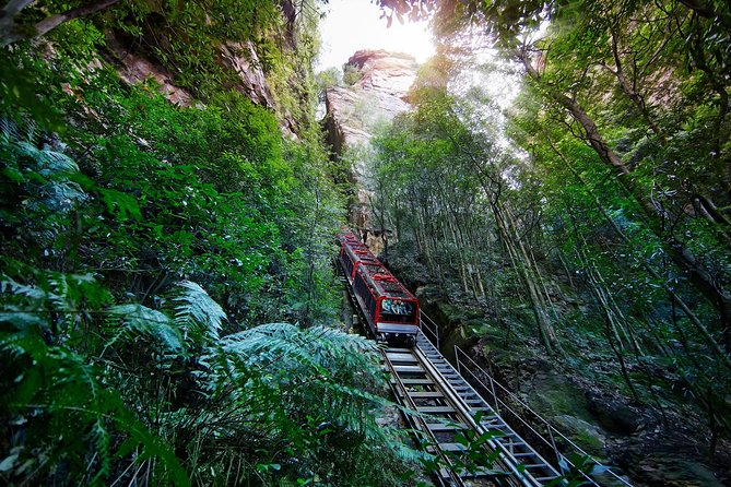 Blue Mountains Small-Group Tour from Sydney with Scenic World,Sydney Zoo & Ferry - Five things to know before booking