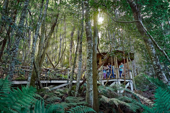Blue Mountains Small-Group Tour from Sydney with Scenic World,Sydney Zoo & Ferry - The ferry to Circular Quay