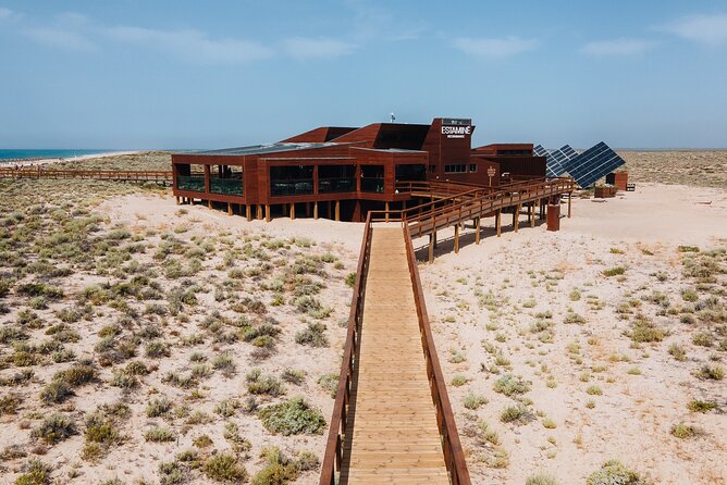 Boat trip from Faro to Ilha Deserta by Ferry - A Beach Day Without a Guided Schedule