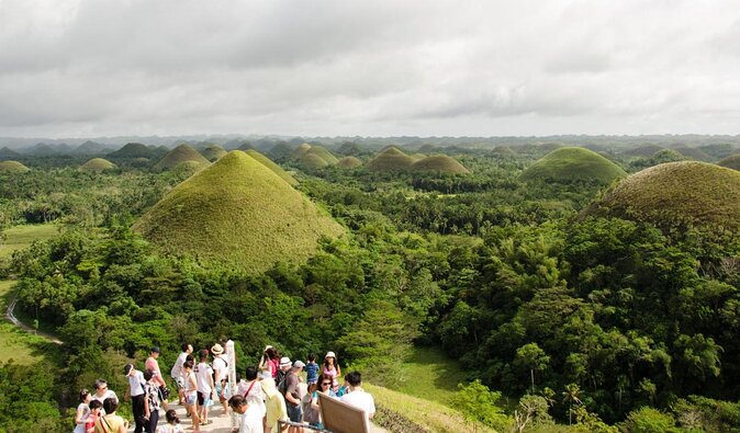 Bohol Chocolate Hills & Tarsiers with roundtrip ferry from Cebu - Five things to know before you book
