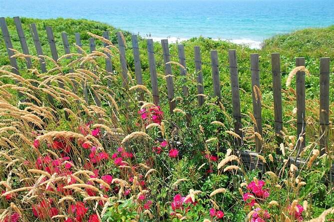 Boston to Martha's Vineyard Day Trip with Optional Island Tour - Aquinnah Cliffs and Gay Head Light