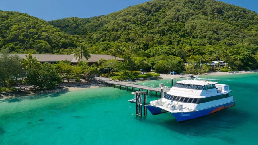 Cairns: Fitzroy Island Ferry with Optional Lunch & Activity - Key points before you book