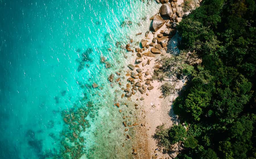 Cairns: Fitzroy Island Ferry with Optional Lunch & Activity - Why Fitzroy Island works as a Cairns day trip