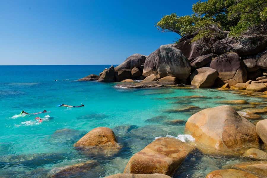 Cairns: Fitzroy Island Ferry with Optional Lunch & Activity - Four and a half hours to make your own island day