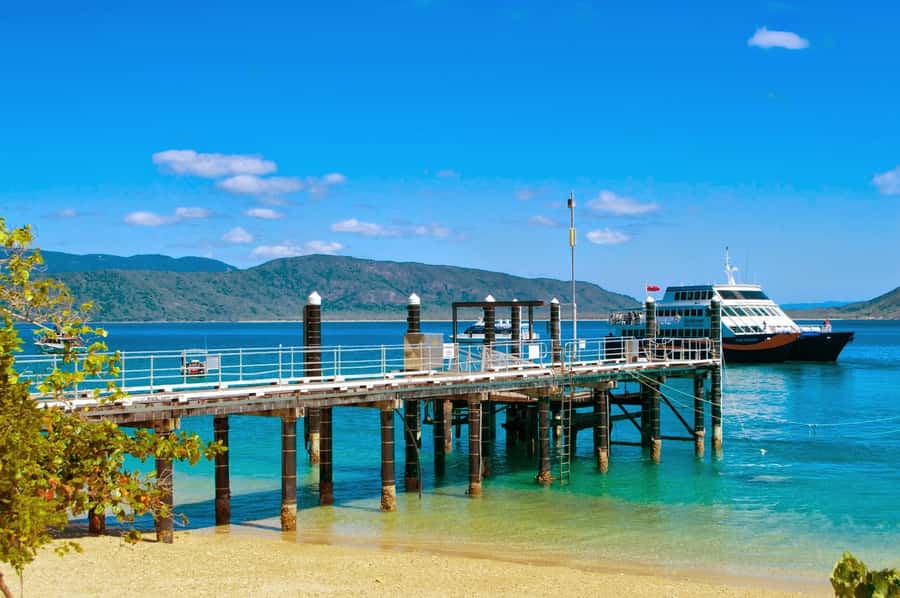 Cairns: Fitzroy Island Ferry with Optional Lunch & Activity - Snorkeling from the beach