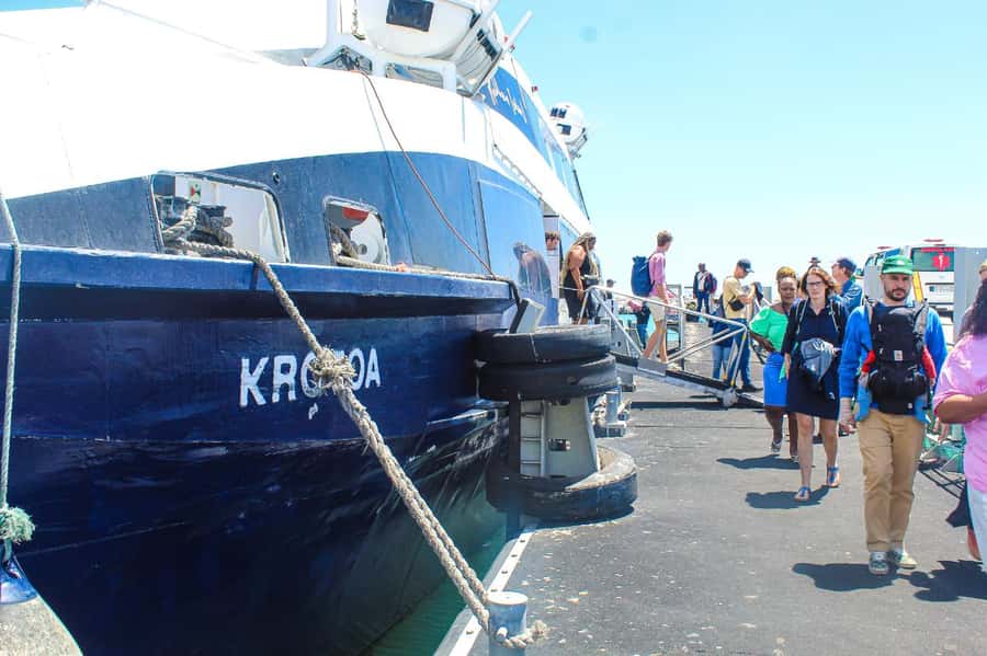Cape Town: Robben Island ferry ticket plus Guided Tour - Key points before you book