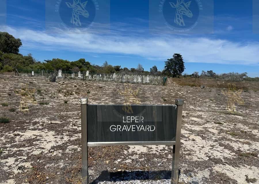 Cape Town: Robben Island Ferry with Prison Ticket and Tour - Key points at a glance