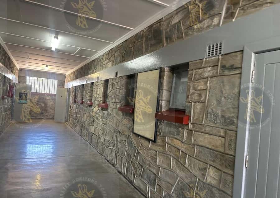 Cape Town: Robben Island Ferry with Prison Ticket and Tour - Seeing the island by guided bus