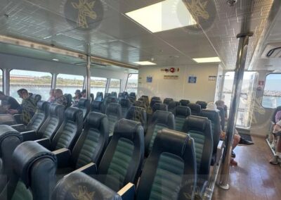 Robben Island Ferry with Prison Ticket and Tour