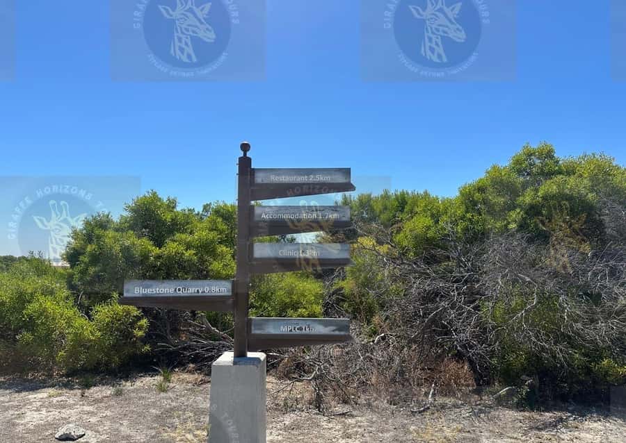 Cape Town: Robben Island Ferry with Prison Ticket and Tour - The island’s other stories