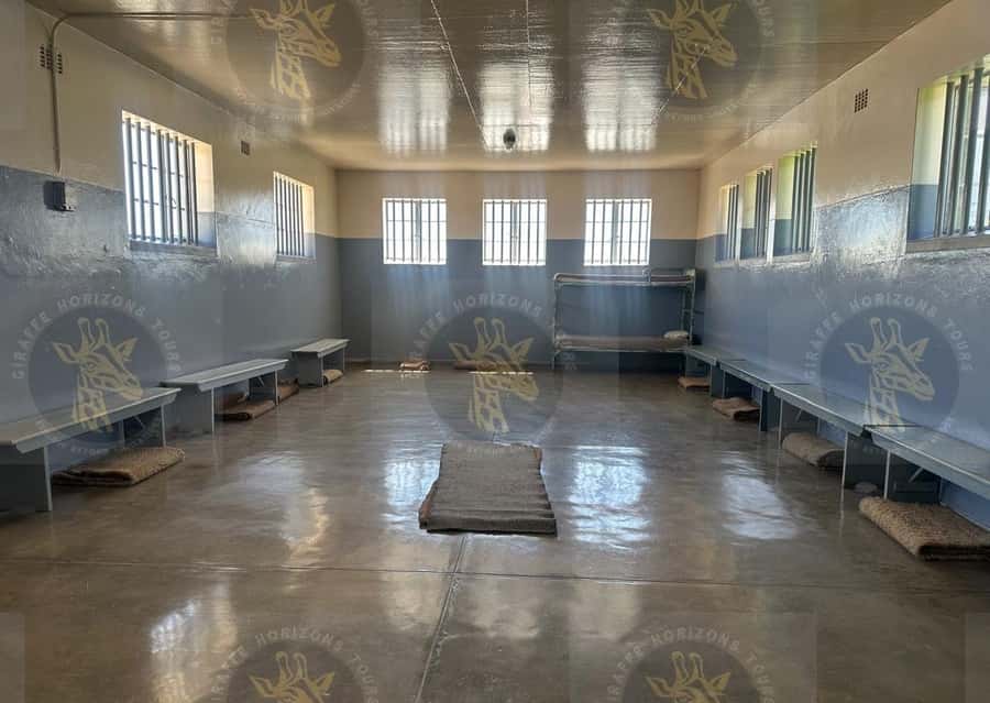 Cape Town: Robben Island Ferry with Prison Ticket and Tour - Who will enjoy this Robben Island visit?