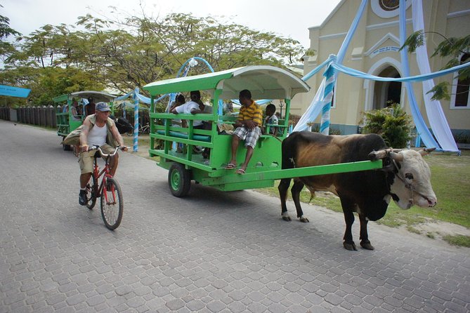 Cat Rose: Praslin Island / La Digue Island Fast Ferry - Bags, group size, and basic comfort