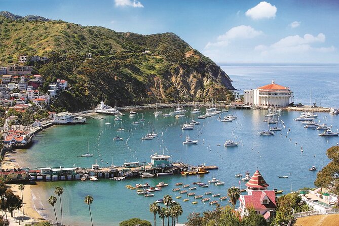 Catalina Express: Avalon to San Pedro One-Way Ferry - Weather and the risk of fixed plans