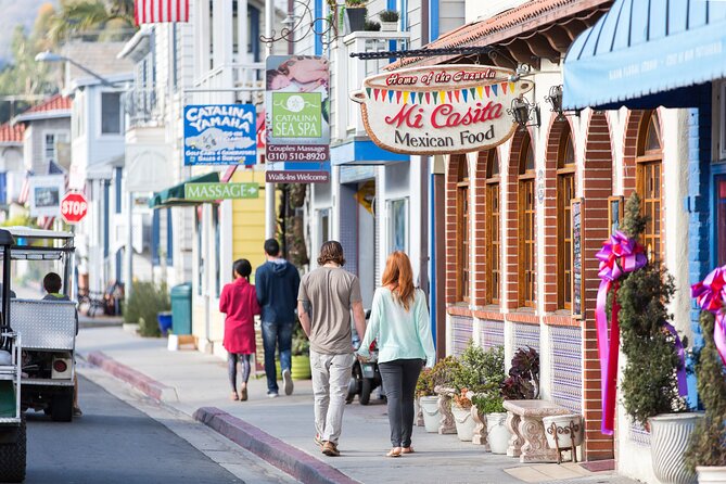 Catalina Express: Avalon to San Pedro One-Way Ferry - Mobile tickets and practical planning