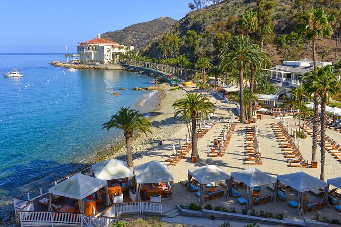Catalina Express: Avalon to San Pedro One-Way Ferry - Who should book this ferry?