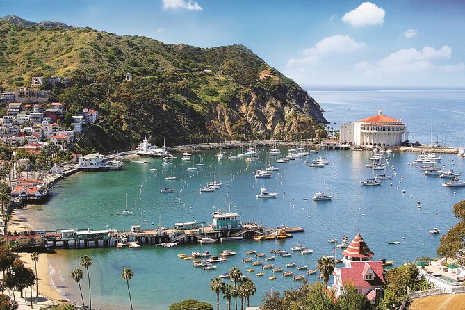 Catalina Express: San Pedro to Avalon One-Way Ferry - Luggage, Animals, and Accessibility Details
