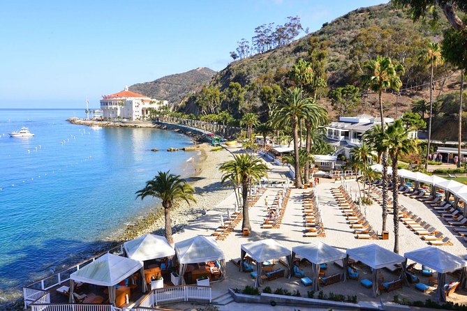 Catalina Express: San Pedro to Avalon One-Way Ferry - Cancellation Rules And Weather Concerns